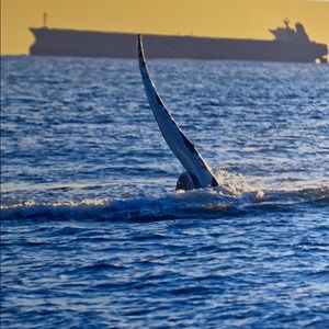 Meet your Posher, Rachael